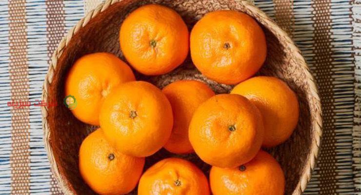 بسته بندی و فروش نارنگی و پرتقال