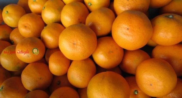 ارزان ترین قیمت خرید نارنگی