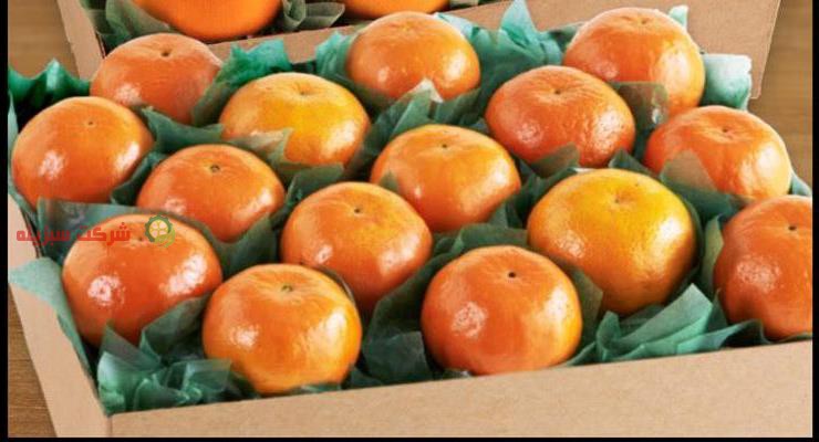 استعلام قیمت نارنگی در ساری