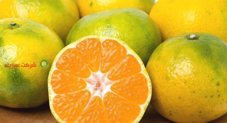 ورود نارنگی ژاپنی به بازار