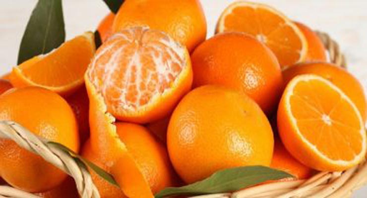 قیمت هر کیلو نارنگی