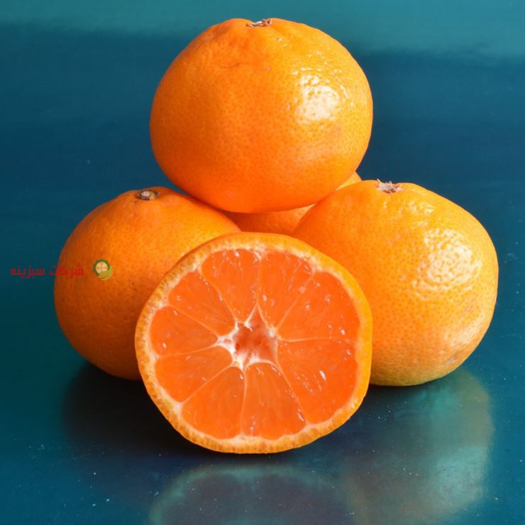 خواص فوق العاده نارنگی مرغوب