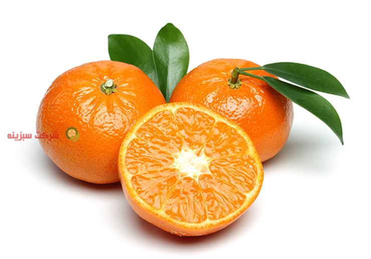 سایت خرید نارنگی یافا پیج ژاپنی