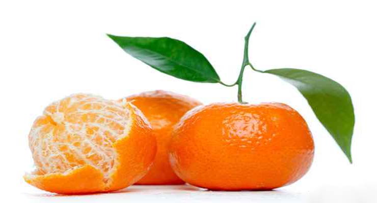 بهترین نارنگی