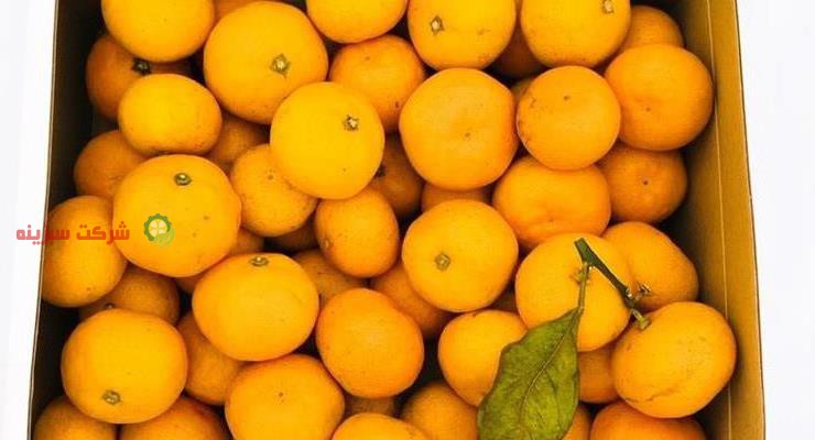 خواص فوق العاده نارنگی انشو
