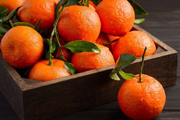 انواع نارنگی ژاپنی