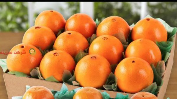 قیمت نارنگی بصورت کیلویی