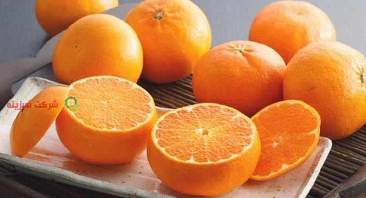 عرضه مستقیم نارنگی سبزینه