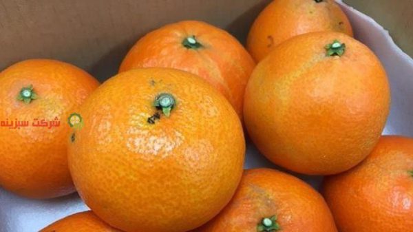 خرید آنلاین میوه نارنگی