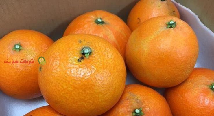 خرید آنلاین میوه نارنگی
