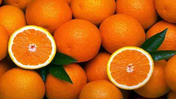 خرید آنلاین پرتقال صادراتی