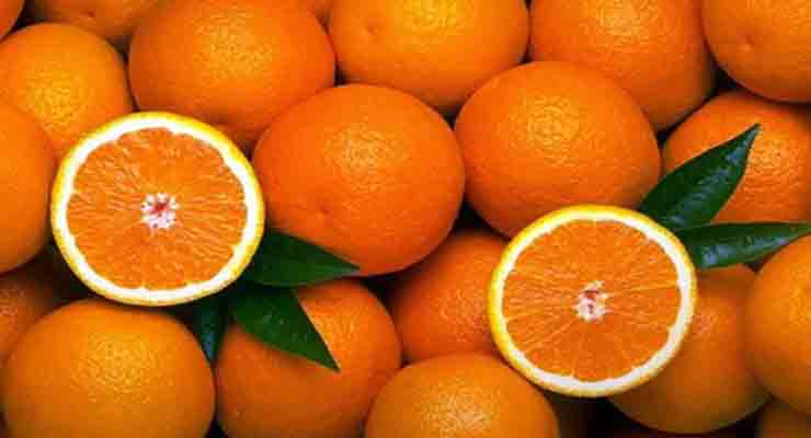 خرید آنلاین پرتقال صادراتی
