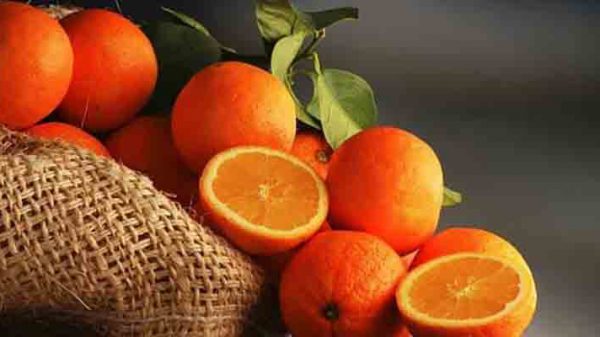 پرتقال صادراتی بم