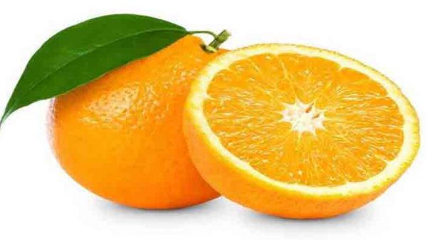 خرید پرتقال صادراتی تامسون