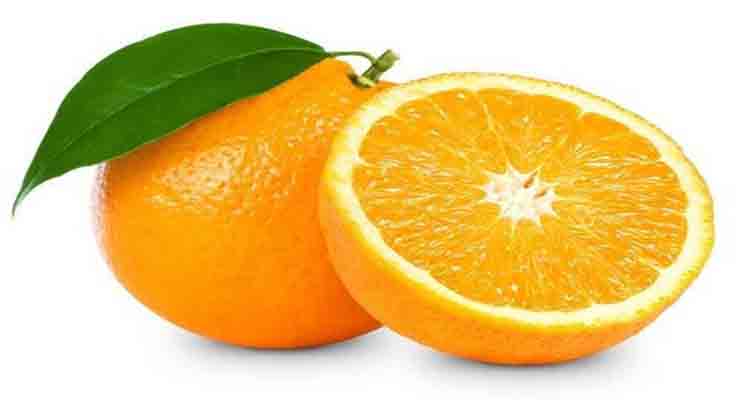 خرید پرتقال صادراتی تامسون