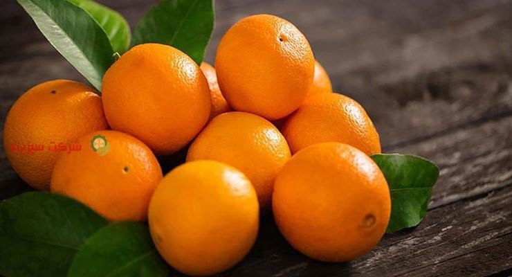 صادرات پرتقال ایران به کشور های اطراف