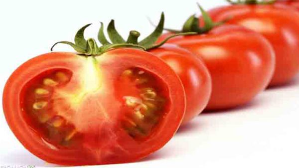 گوجه فرنگی صادراتی