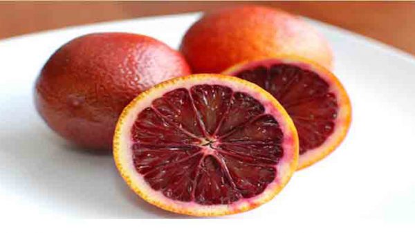 پرتقال خونی صادراتی