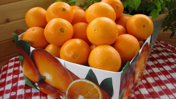پرتقال بسته بندی شده