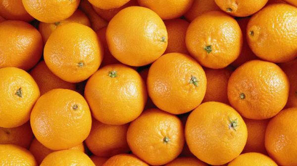 خرید پرتقال صادراتی