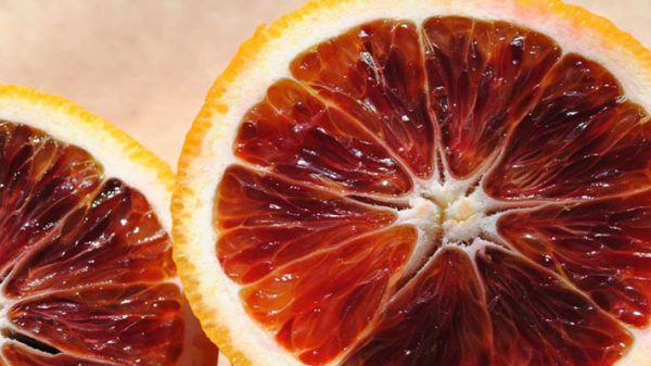 پرتقال خونی تامسون