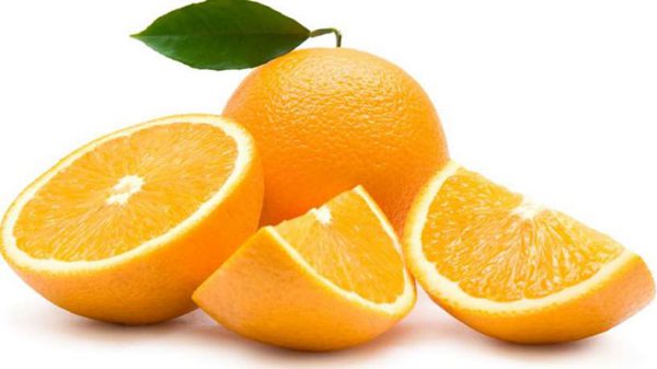 قیمت عمده پرتقال صادراتی