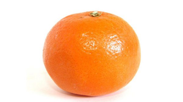 صادرکننده انواع پرتقال شمال