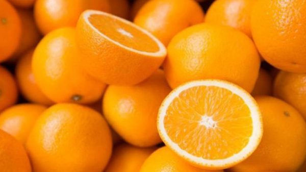 صادر کننده پرتقال
