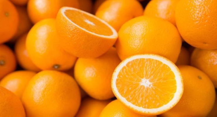 صادر کننده پرتقال