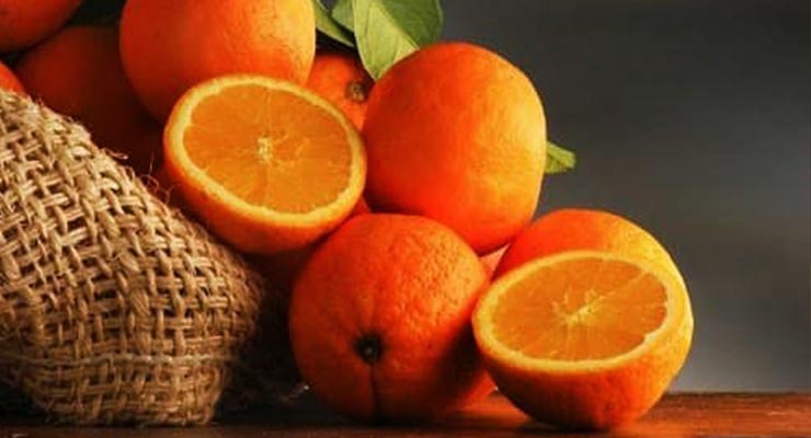 صادرات پرتقال از مازندران