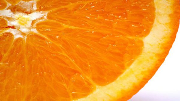 صادرات پرتقال
