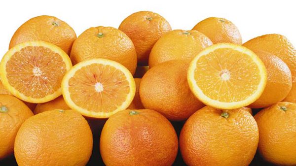 صادرات پرتقال به عراق
