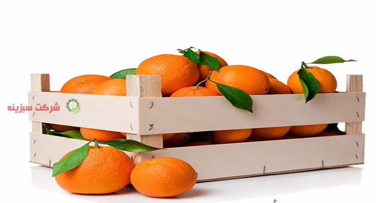 پرتقال های صادراتی