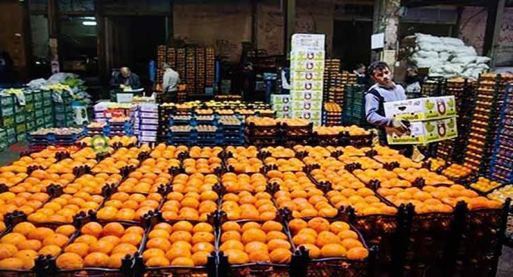 صادرات پرتقال به مسکو با قیمت مناسب