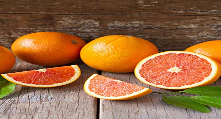 صادرات پرتقال تامسون