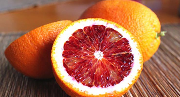 پرتقال تامسون و خونی