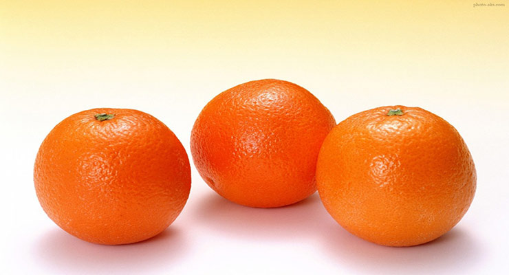صادرات پرتقال تامسون