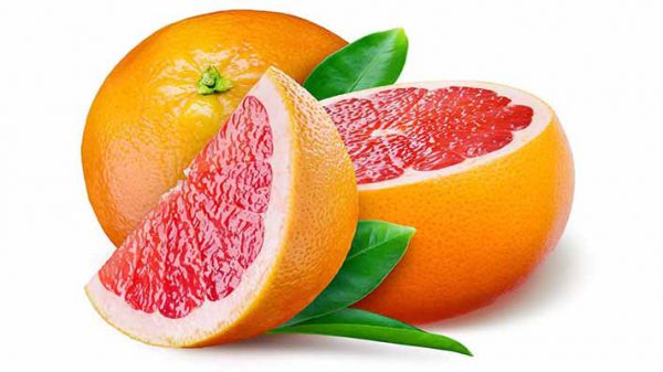 صادرات پرتقال خونی