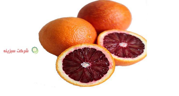 کشور های مورد توجه صادرات پرتقال خونی