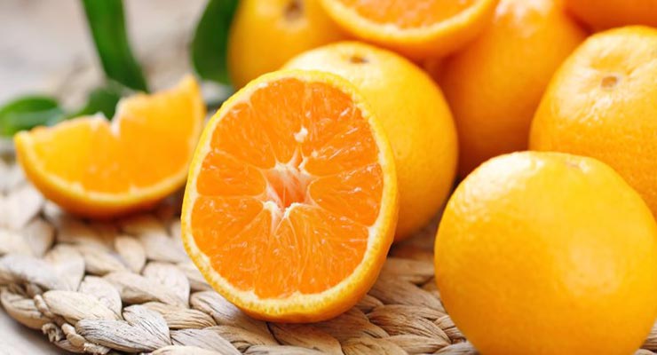 صادرات پرتقال ساری