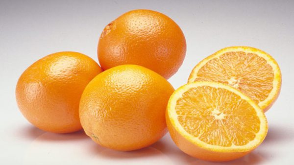 صادرات پرتقال شمال ایران