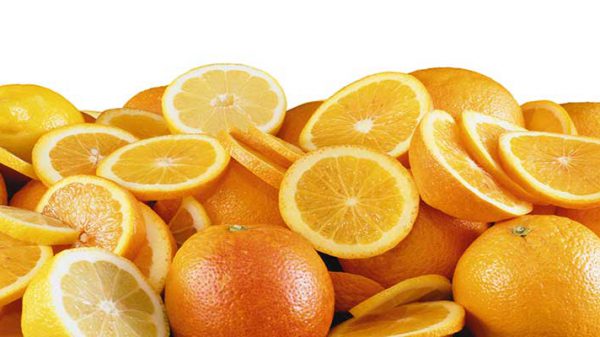 صادرات پرتقال فریدونکنار