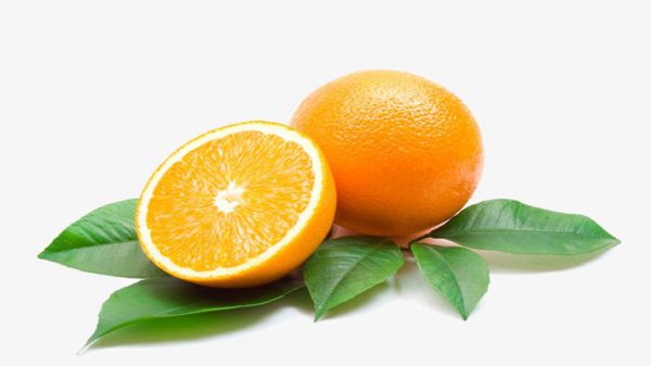 صادرات پرتقال های مازندران