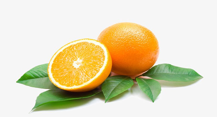 صادرات پرتقال های مازندران