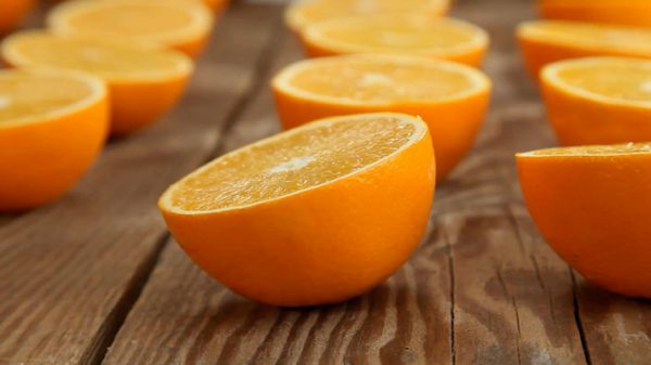 صادرات پرتقال و مرکبات