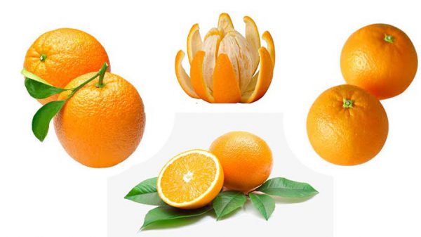 صادرات پرتقال و نارنگی