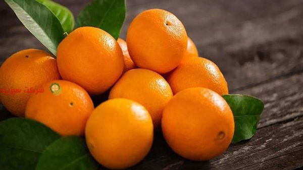 صادرات پرتقال پالت بندی شده از آستارا