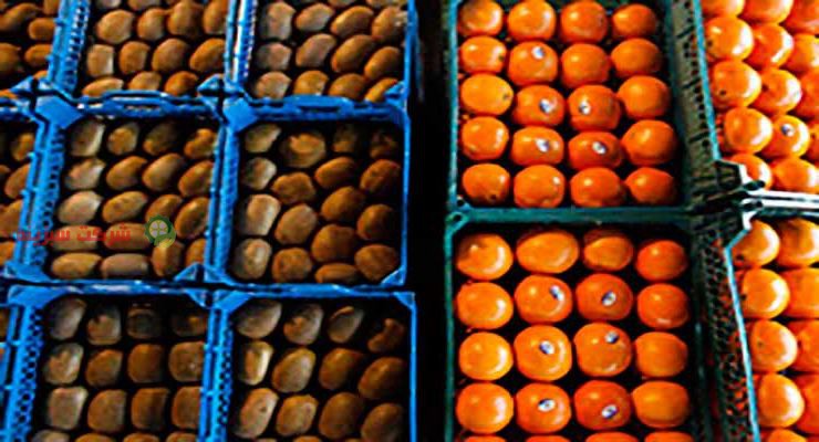 صادرات پرتقال پالت بندی