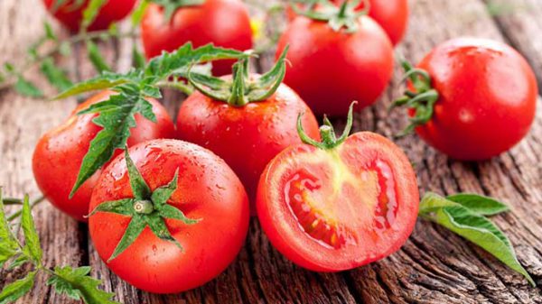 صادرات گوجه به افغانستان
