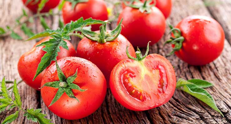صادرات گوجه به افغانستان